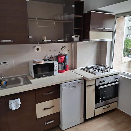 布加勒斯特Apartament Titulescu/Banu Manta公寓 外观 照片