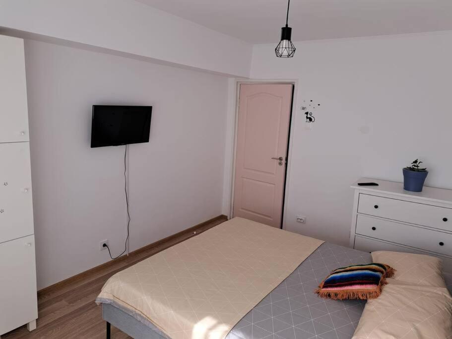 布加勒斯特Apartament Titulescu/Banu Manta公寓 外观 照片